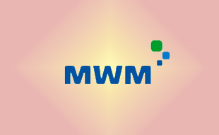 ✓ MWM 0331 3168 Запчасть MWM 